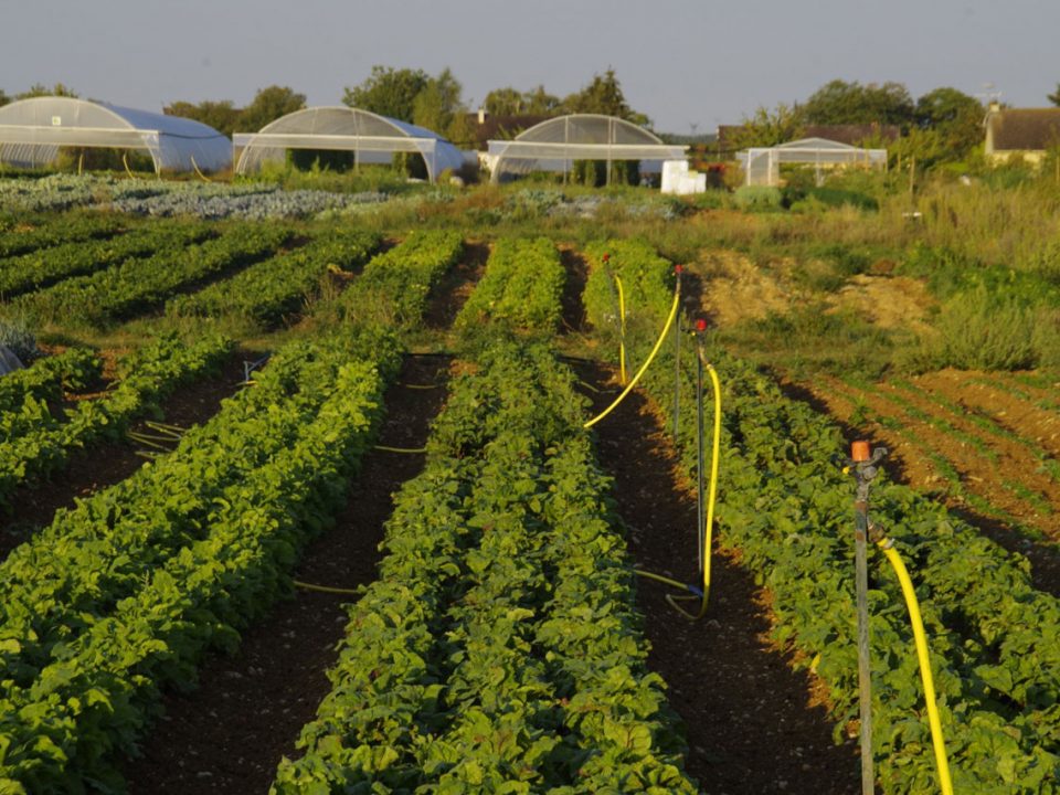 La Ferme des Plaines les champs