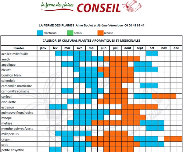 Le Calendrier de culture maraîcher